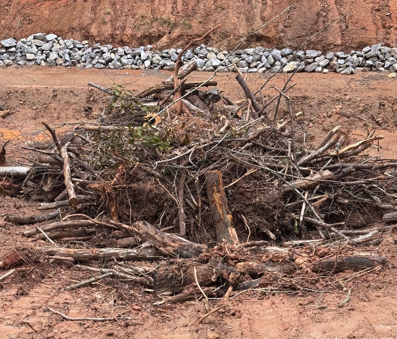 A large pile of woody debris, including fallen branches, thick logs, and uprooted brush, sits on a muddy, red-clay ground. In the background, a steep embankment of exposed red soil is visible, topped by a long, horizontal row of grey riprap rocks used for erosion control.