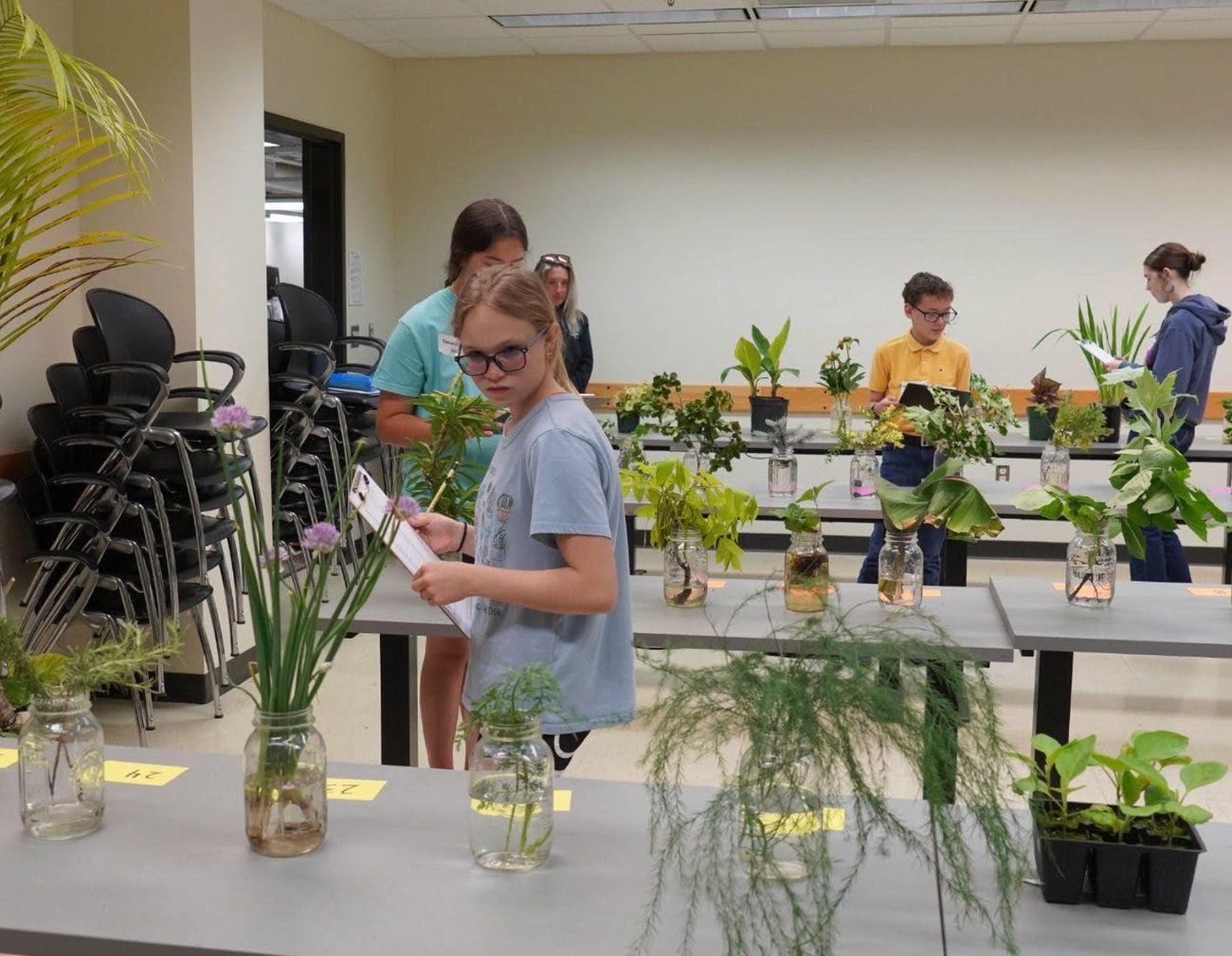 Students identifing plants