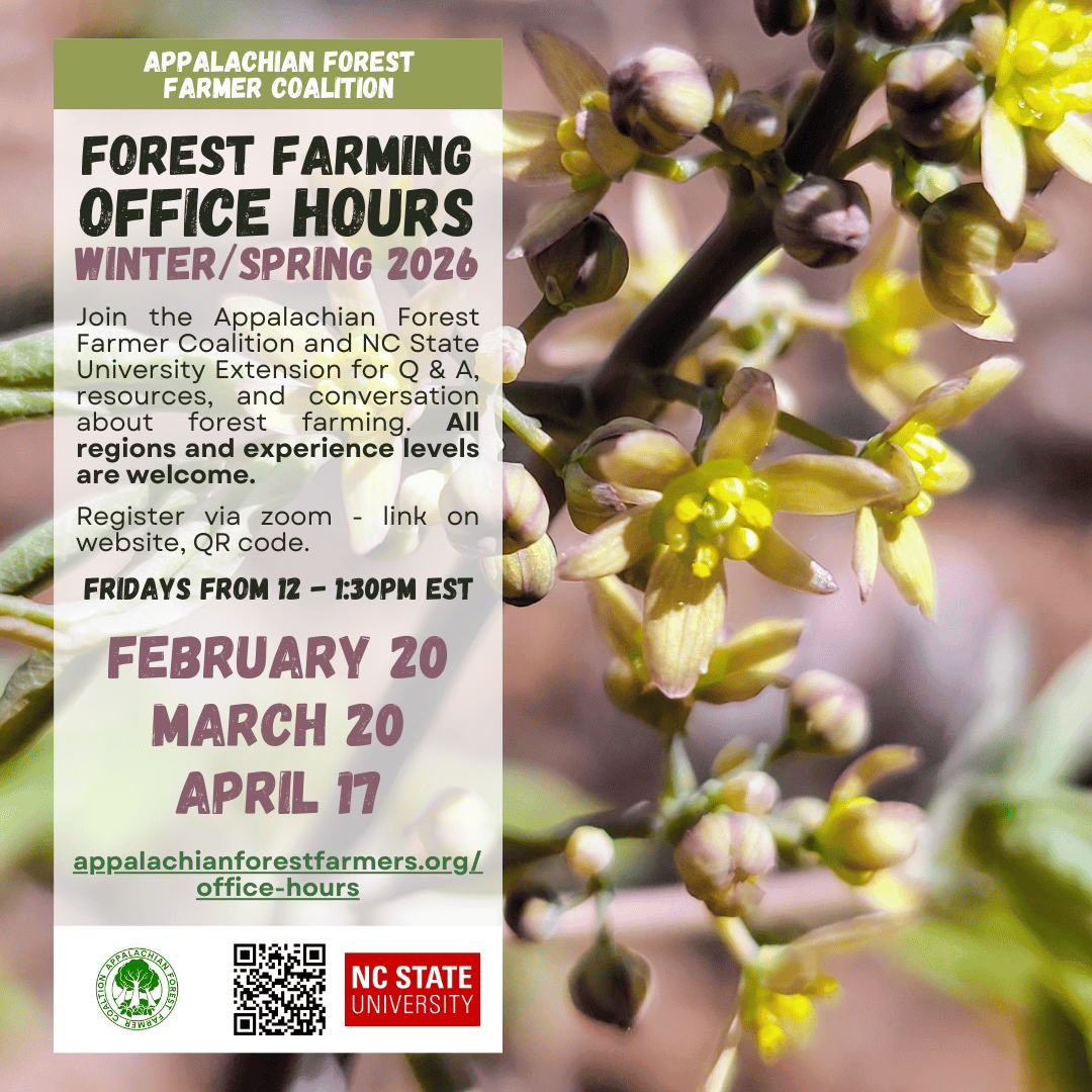 Flier for Forest Farming Office Hours on February 20, March 20, and April 17 from 12-1:30pm. More information at appalachianforestfarmers.org/office-hours