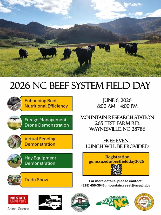 Flyer for the 2026 NC beef system field day on june 6. more information at go.ncsu.edu/beeffieldday2026