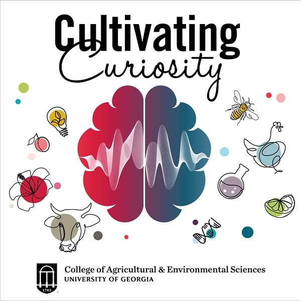 The promotional graphic for the podcast "Cultivating Curiosity," from the University of Georgia's College of Agricultural & Environmental Sciences.