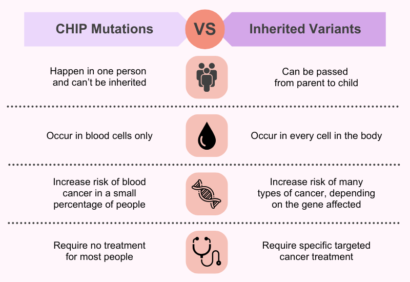 Comparison chart. Chip mutations happen in one person and can't be inherited, occur in blood cells only, increase risk of blood cancer in a small percentage of people, require no treatment for most people. Inherited variants can be passed from parent to child, occur in every cell in the body, increase risk of many types of cancer, depending on the gene affected, require specific targeted cancer treatment