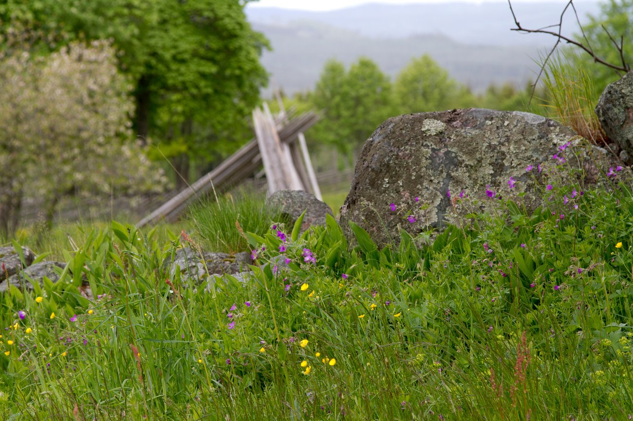 Källslättens fäbod, foto: Lars Myregrund, Mostphotos