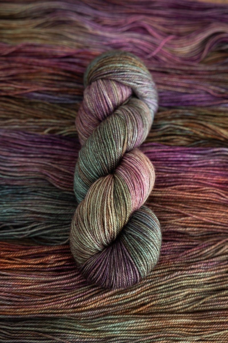 Life in the Woods— November 2025 Club