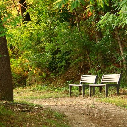 Trail with two benches