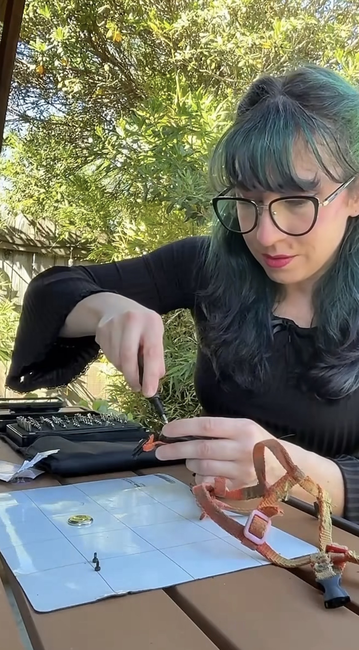 Our Director of Sustainability, Liz, replaces the AirTag in her tortoise's harness using the Pro Tech