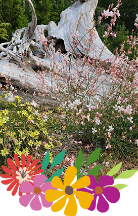 Pioneer School Mason Conservation District Pollinator Garden의 재활용된 Cushman 통나무로 하단에는 꽃이 그려져 있습니다.