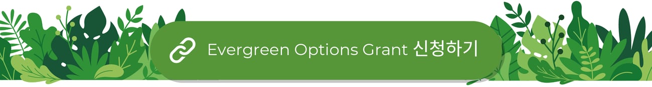 식물 잎사귀 그림 배너의 상단에 있는 "Evergreen Options 보조금 신청하기"라고 쓰인 초록색 버튼입니다.