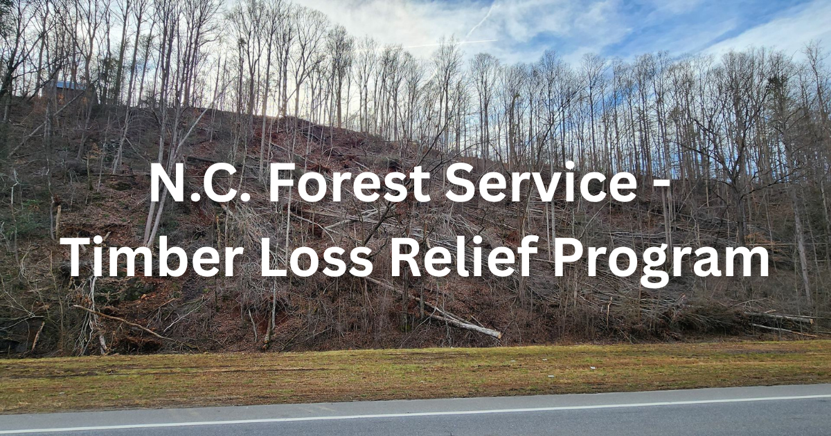 In front of a hillside with downed trees as a result of Hurricane Helene are the words, "N.C. Forest Service - Timber Loss Relief Program."