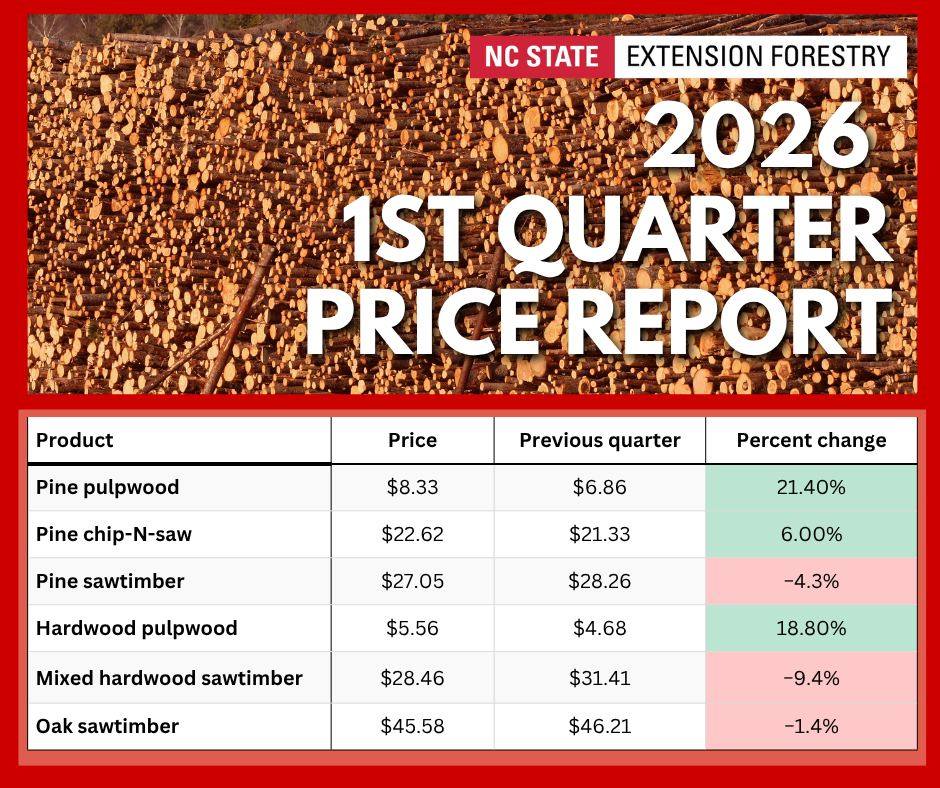 At the top is an image of stacked timber. In the forefront are the words, "NC State Extension Forestry. 2026 1st Quarter Price Report." At the bottom is a table describing the price, previous quarter price, and percent change for pine pulpwood ($8.33, $6.86, 21.4%), pine chip-n-saw ($22.62, $21.22, 6%), pine sawtimber ($27.05, $28.26, -4.3%), hardwood pulpwood ($5.56, $4.68, 18.8%), mixed hardwood sawtimber ($28.46, $31.41, -9.4%), and oak sawtimber ($45.58, $46.21, -1.4%). 