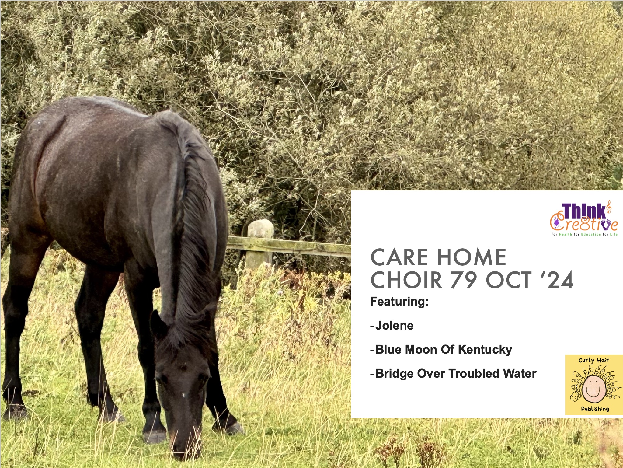 91f5618c 6b98 40a7 Afd8 D5f11f9bf124