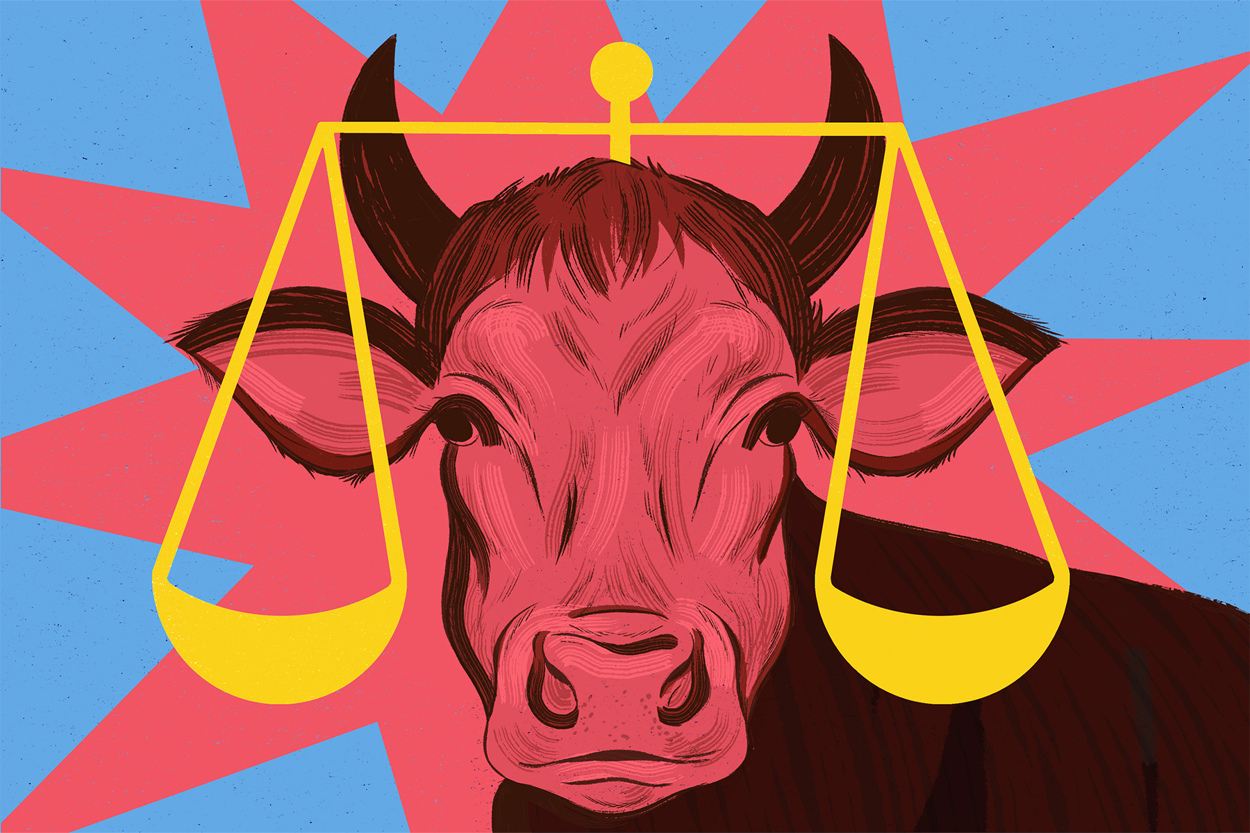 A cow against a pop art background with a yellow justice scale on top of its horns.