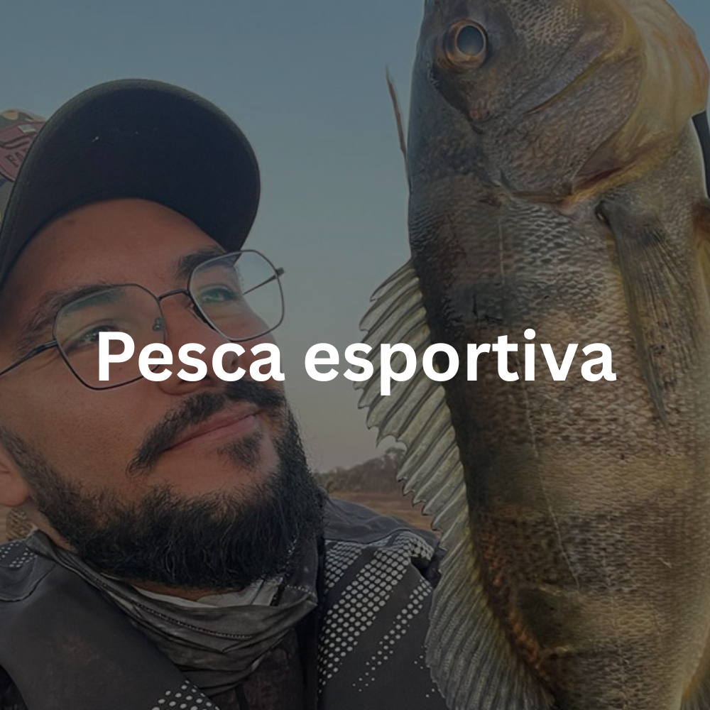 Pesca esportiva