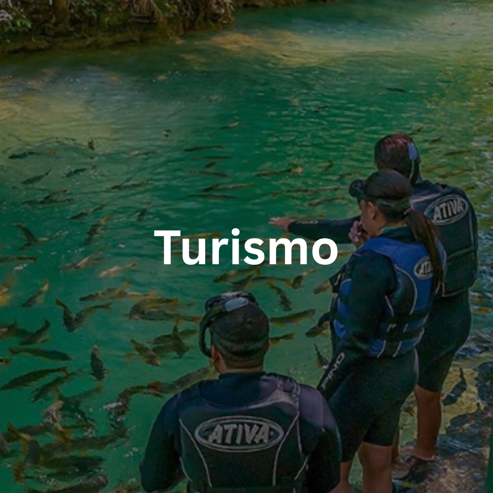 Turismo