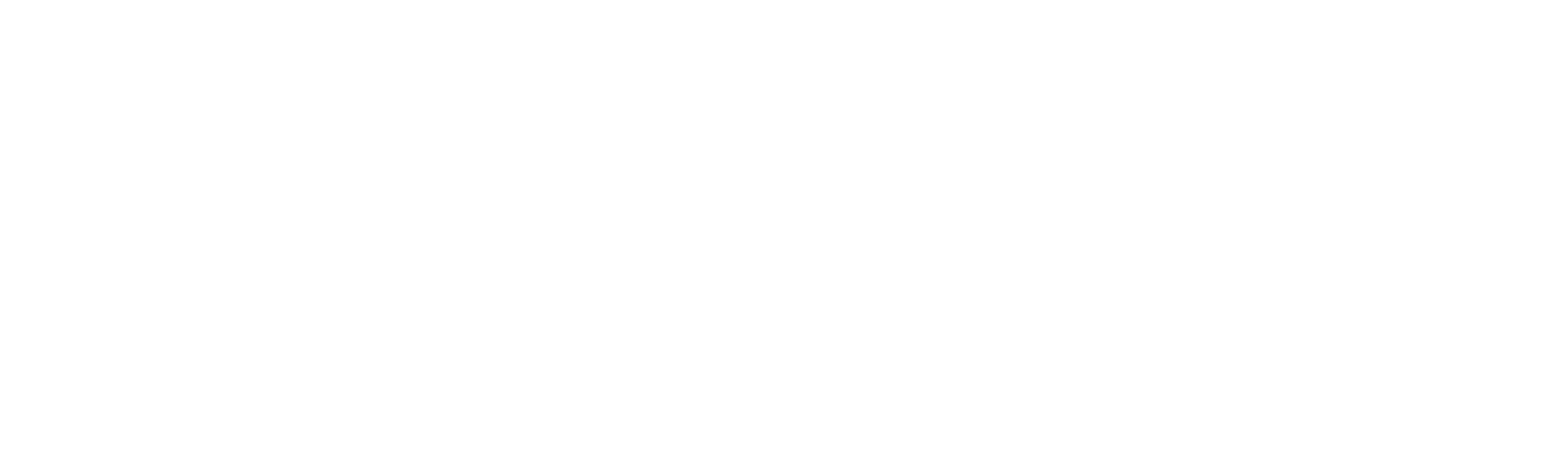 Ironwall by Incogni logo