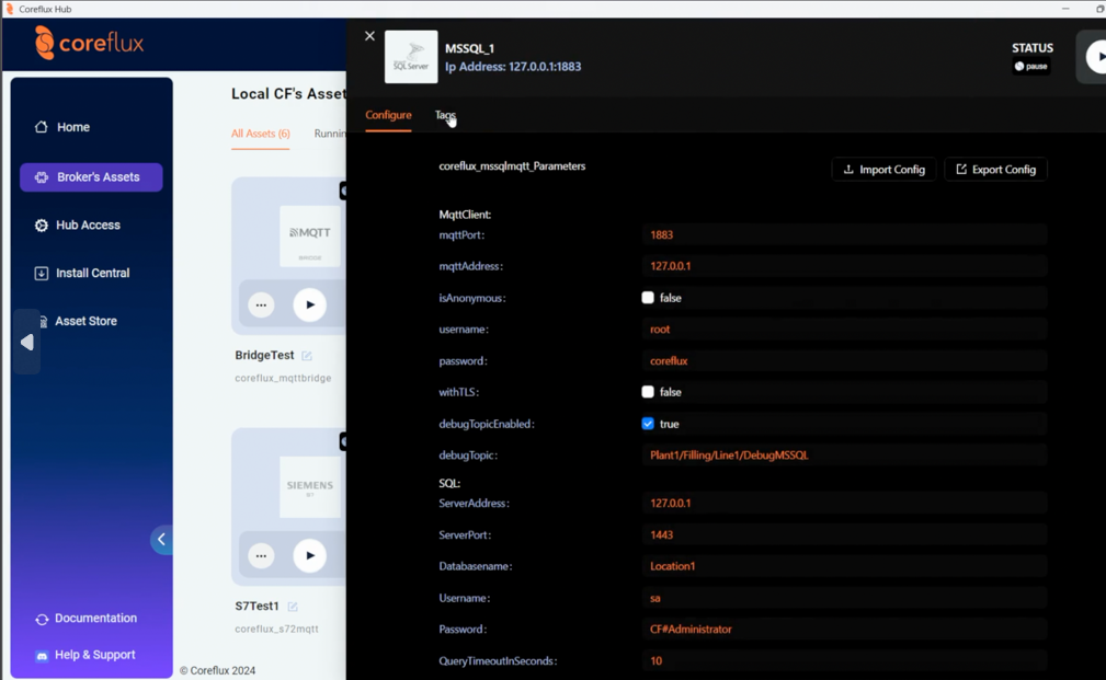 MSSQL Asset Config and Tags