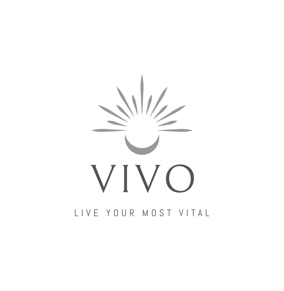 Vivo Logo